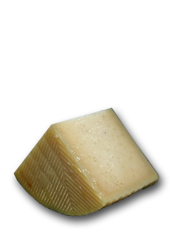 Queso oveja Culebrín